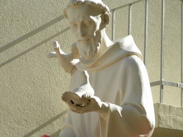 Čestitka za svetkovinu sv. Franje Čestitka za svetkovinu sv. Franje