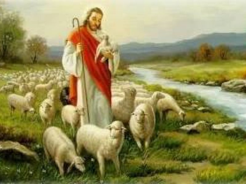 Nedjelja Dobrog Pastira