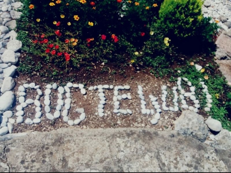 Budi blizu